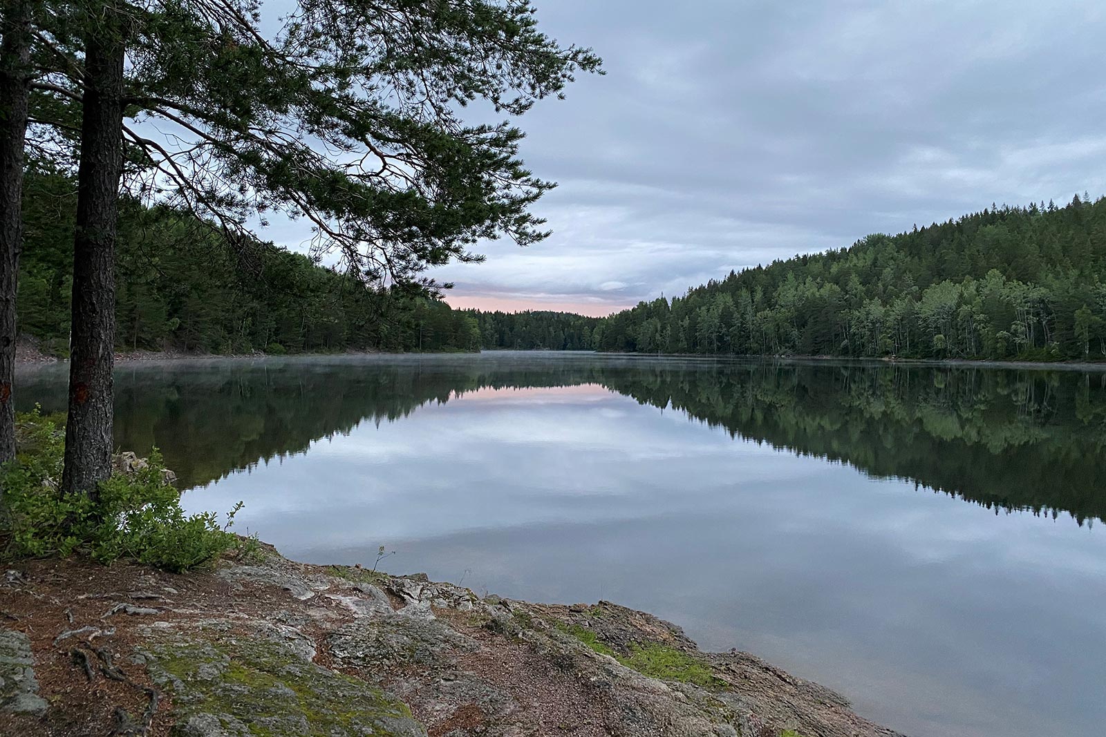 a quiet lake in a forest - the water surface is mirroring the trees